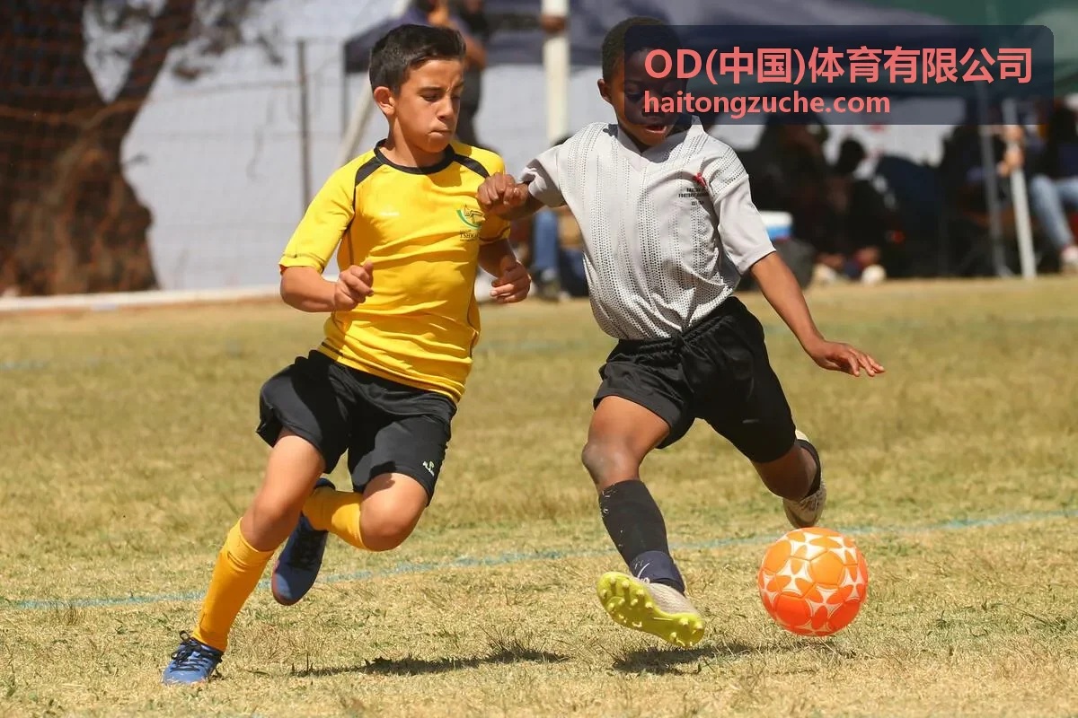 OD(中国)体育有限公司营养搭配建议